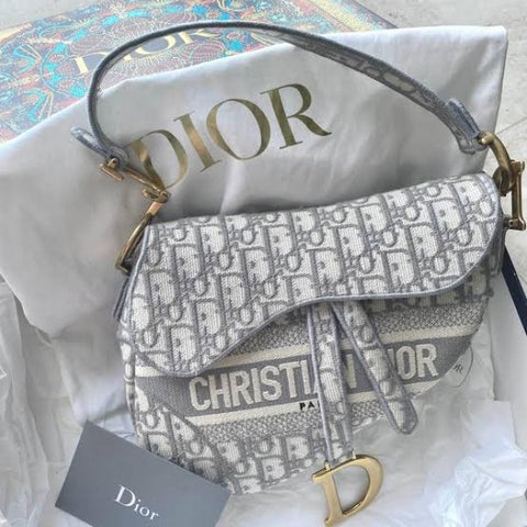 Dior Saddle Oblique Embroidered Grey Bag