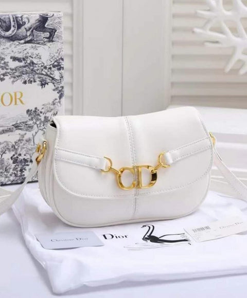 DIOR cd bispace bag 145